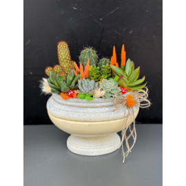 ÖZEL CANLI TERARYUM