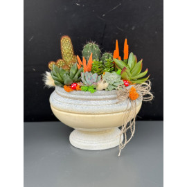 ÖZEL CANLI TERARYUM