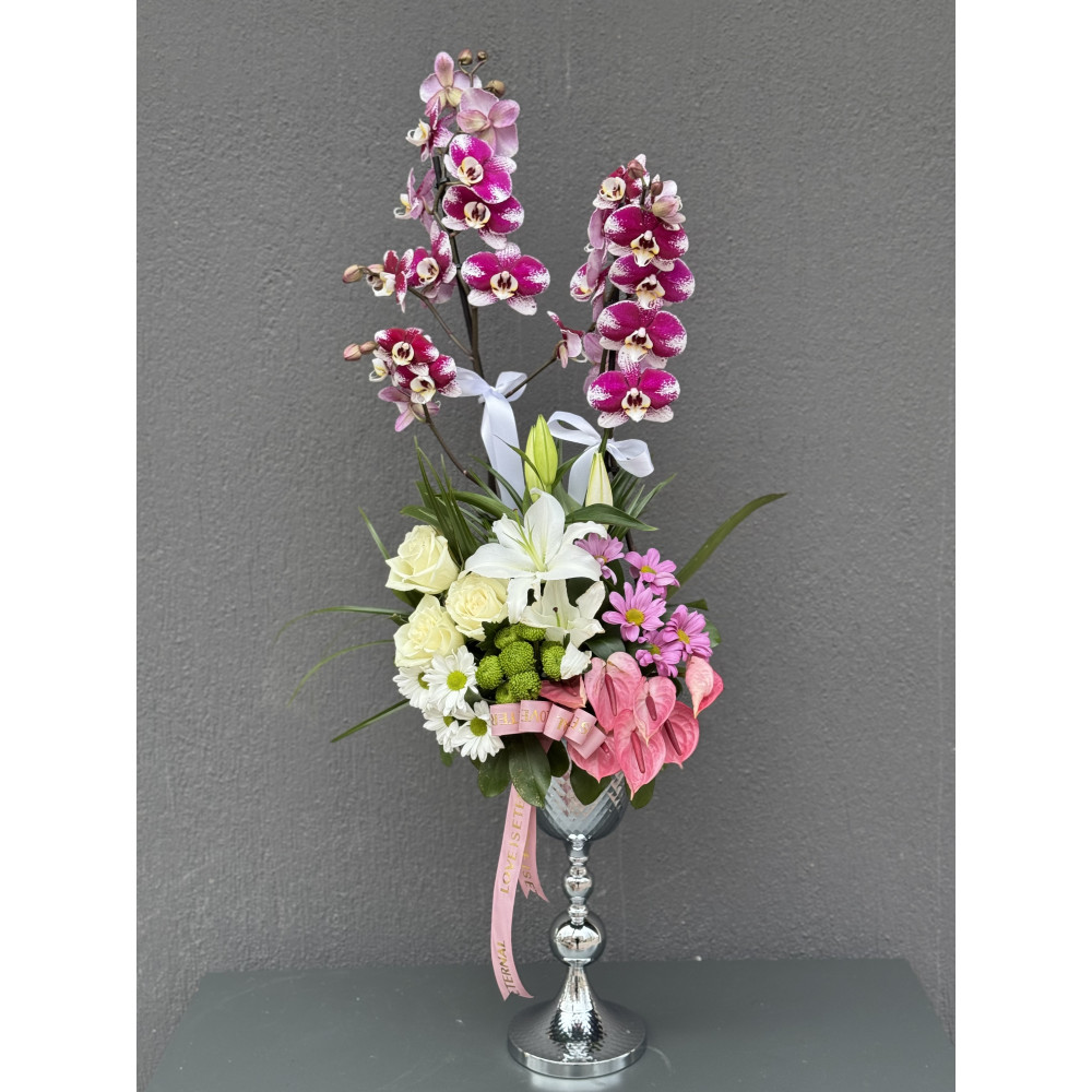 RENKLİ ORKİDE ARAJMANI