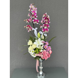 RENKLİ ORKİDE ARAJMANI