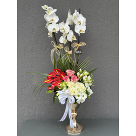 RENKLİ ORKİDE ARAJMANI