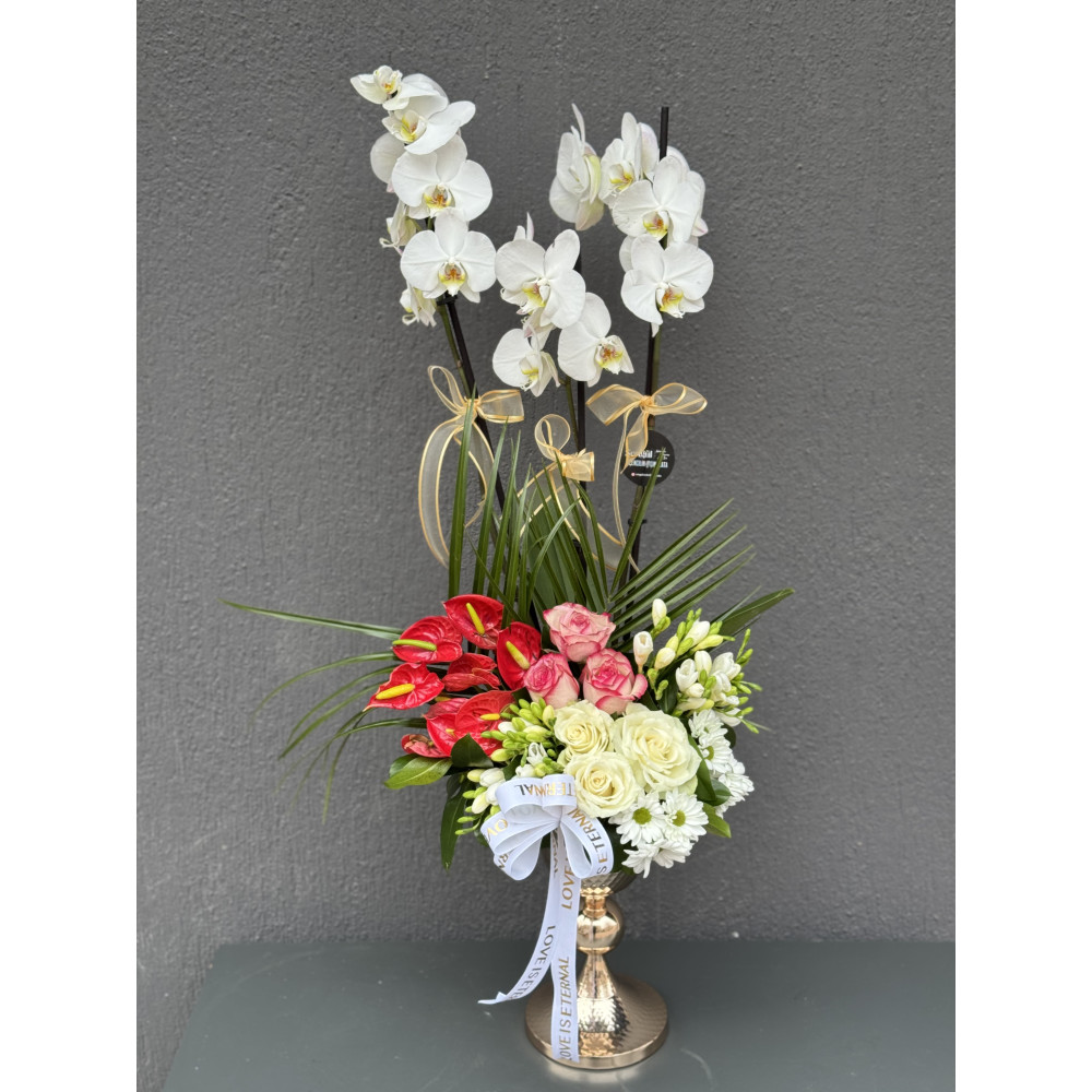 RENKLİ ORKİDE ARAJMANI