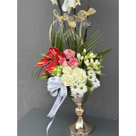 RENKLİ ORKİDE ARAJMANI