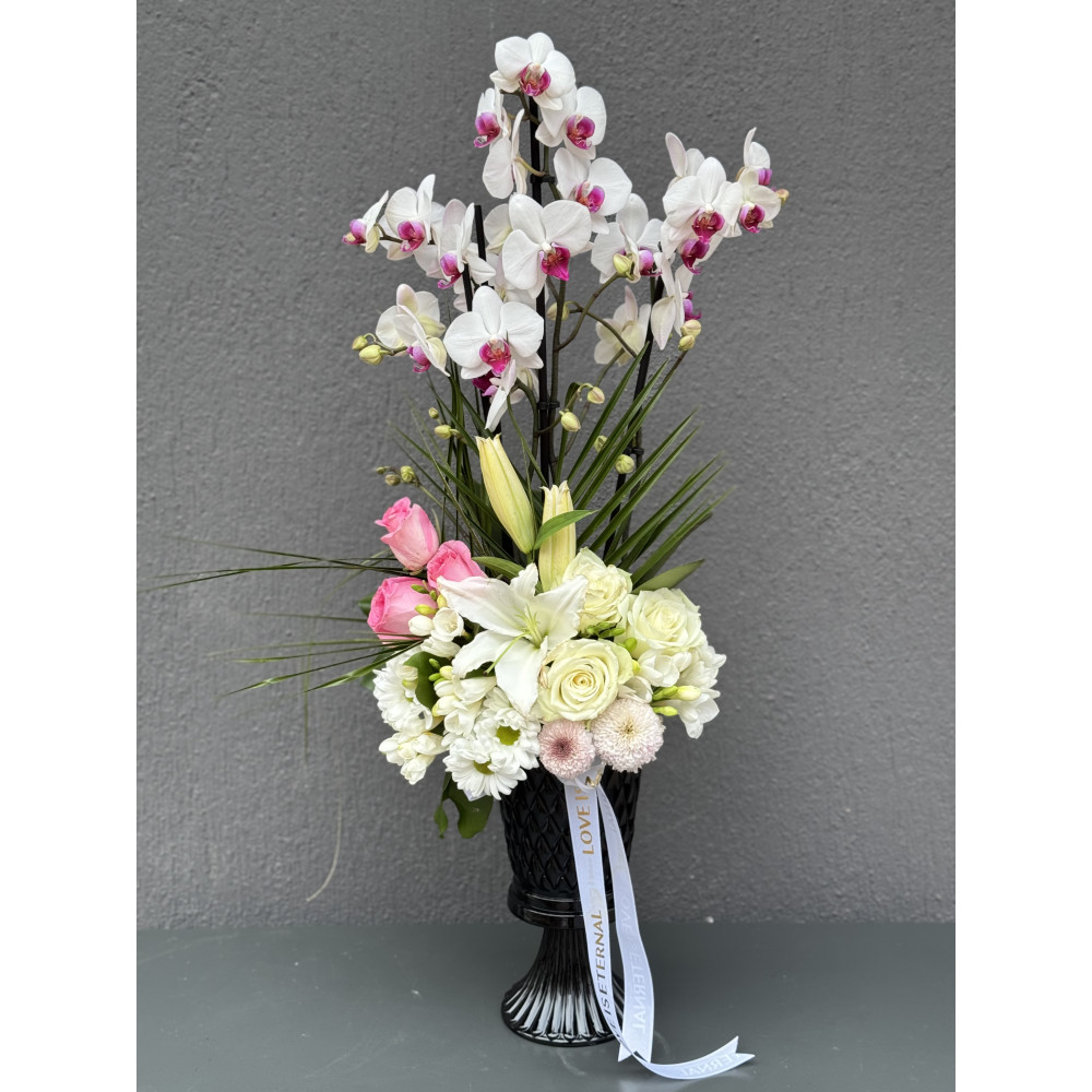 RENKLİ ORKİDE ARAJMANI