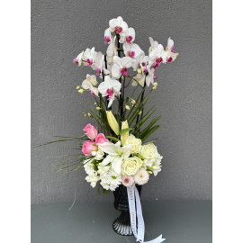 RENKLİ ORKİDE ARAJMANI