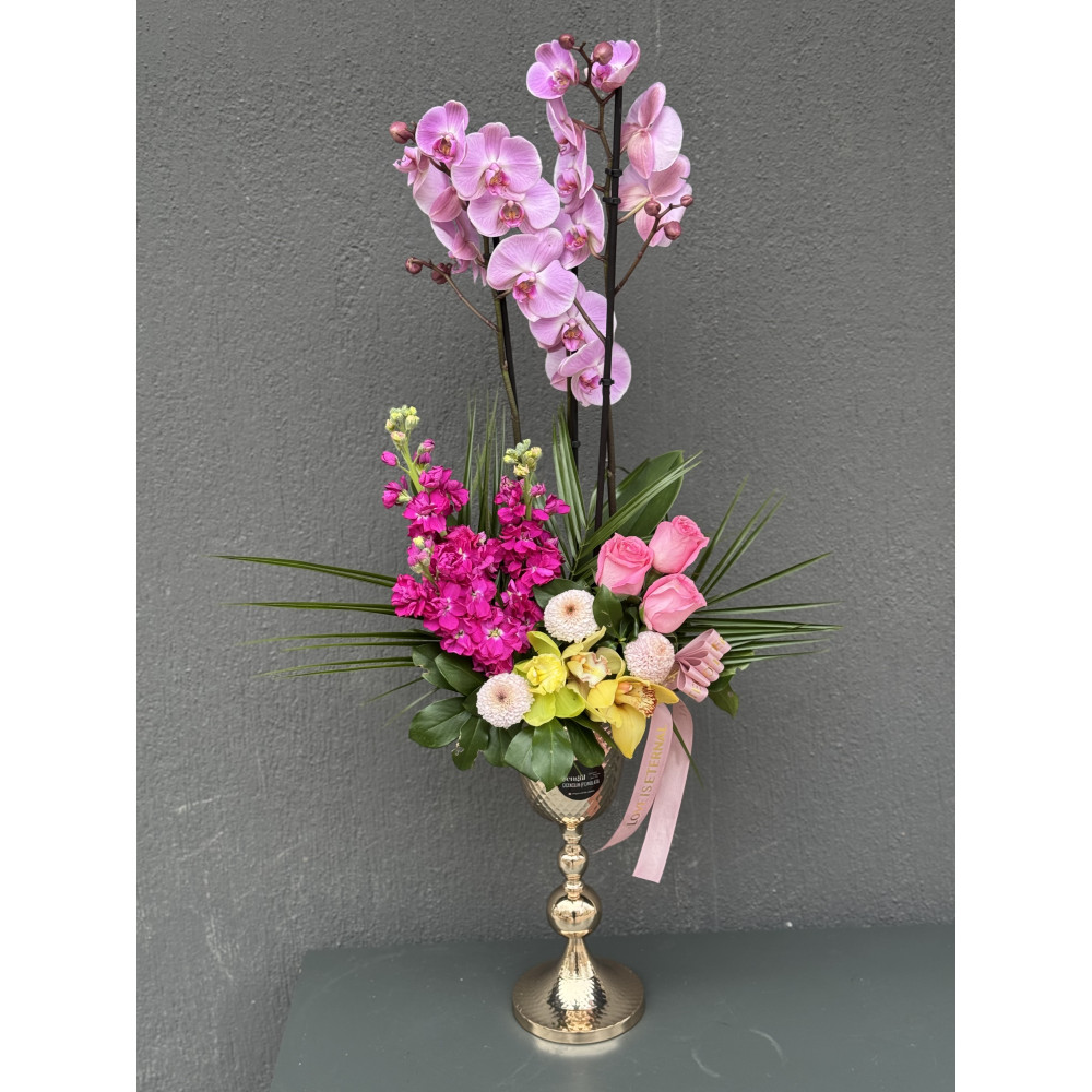 RENKLİ ORKİDE ARAJMANI