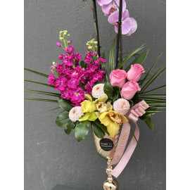 RENKLİ ORKİDE ARAJMANI