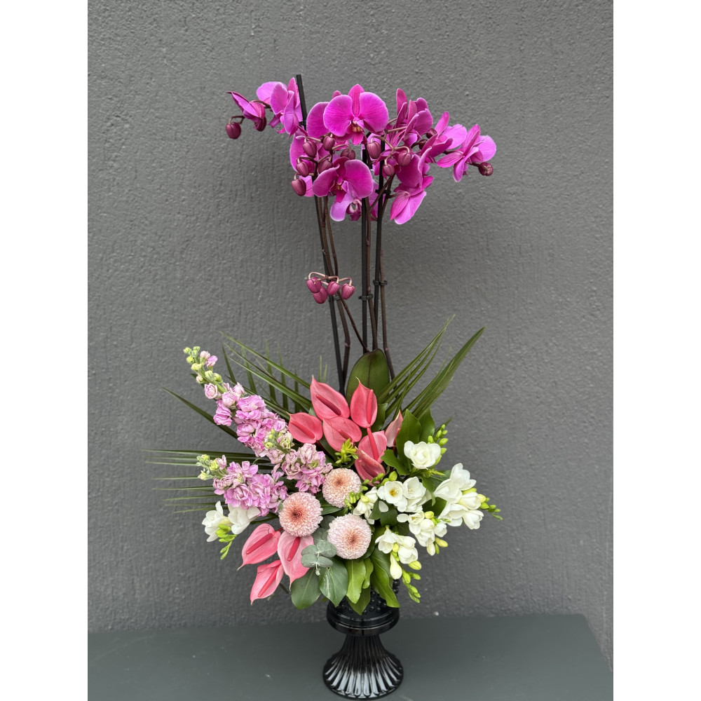 RENKLİ ORKİDE ARAJMANI