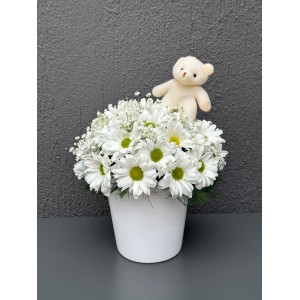 SERAMİK VAZODA BEYAZ PAPATYA MİNİ AYICIK