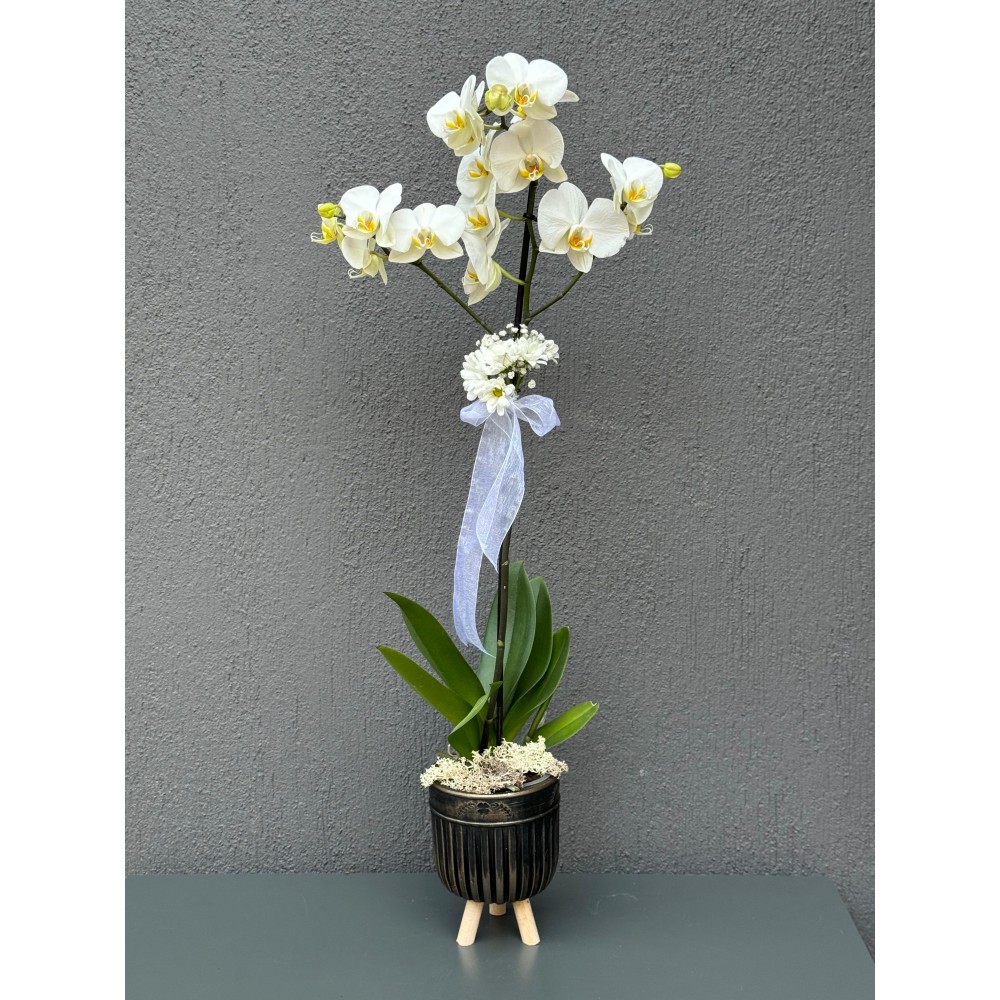 AYAKLI DEKORATİF SAKSIDA TEK DAL BEYAZ ORKİDE