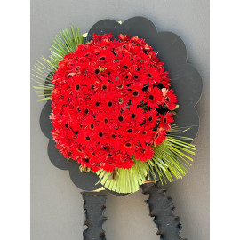 CENAZE ÇELENGİ KIRMIZI GERBERA