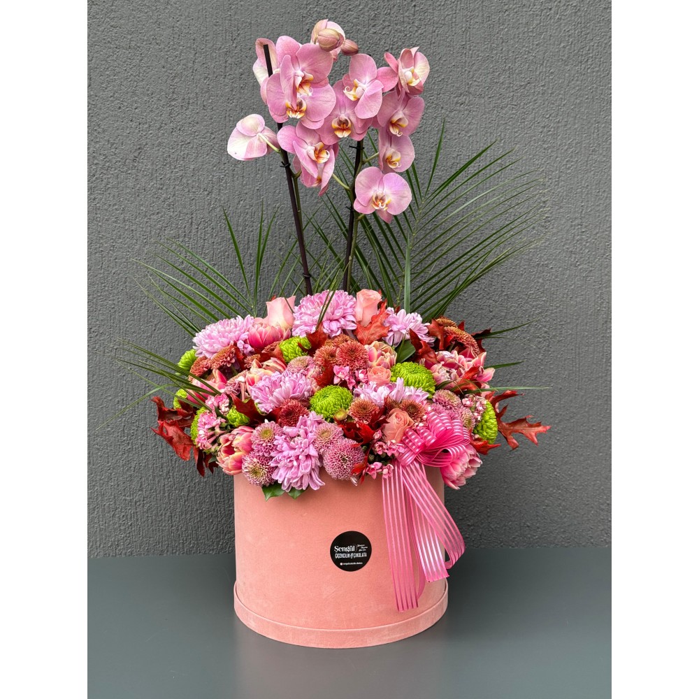 KADİFE KUTUDA ORKİDE ARANJMANI