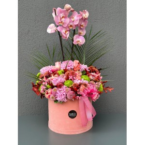 KADİFE KUTUDA ORKİDE ARANJMANI