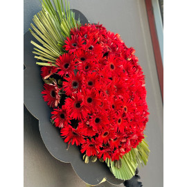 CENAZE ÇELENGİ KIRMIZI GERBERA